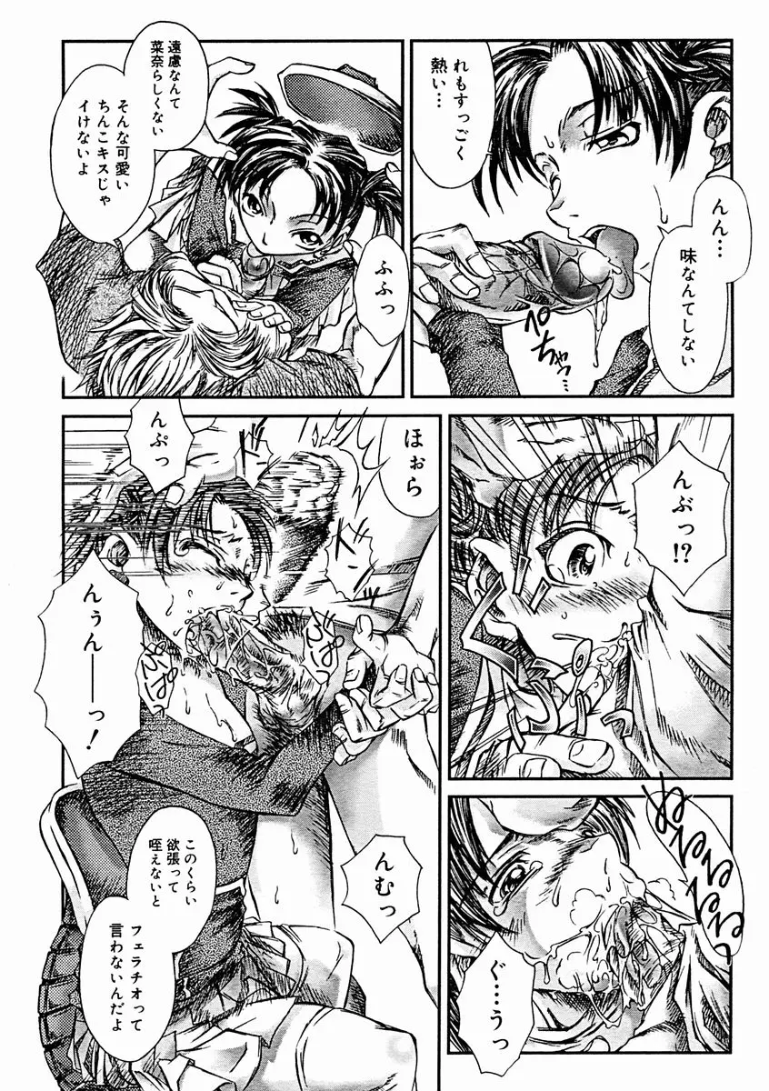 Page 336