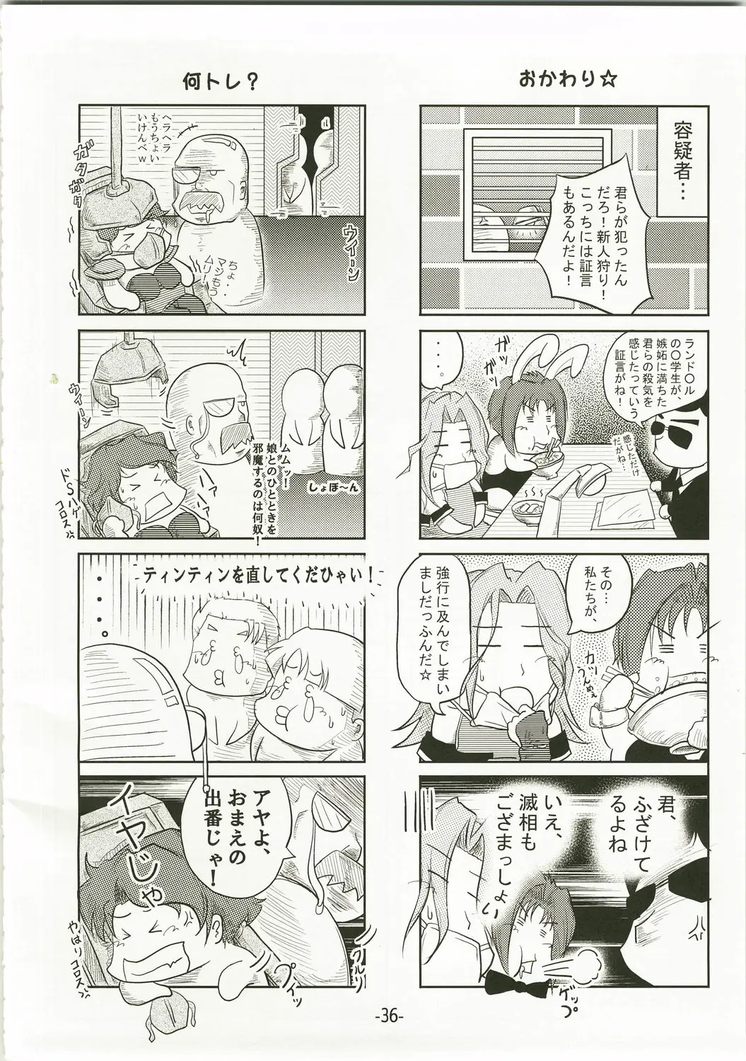 Page 36