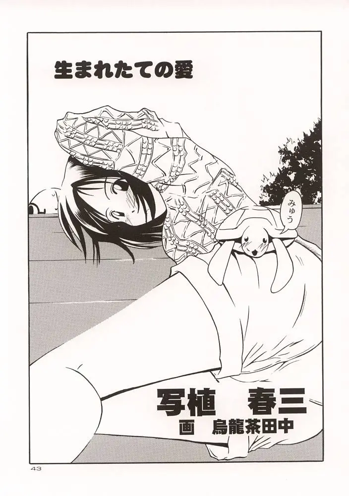 Page 42