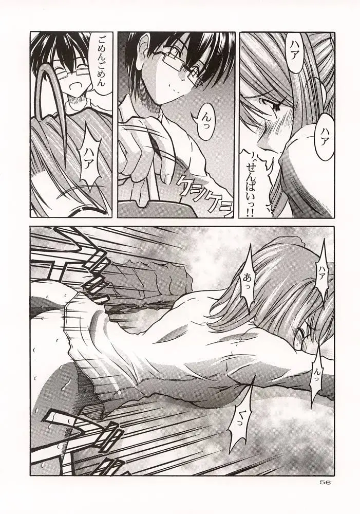 Page 55