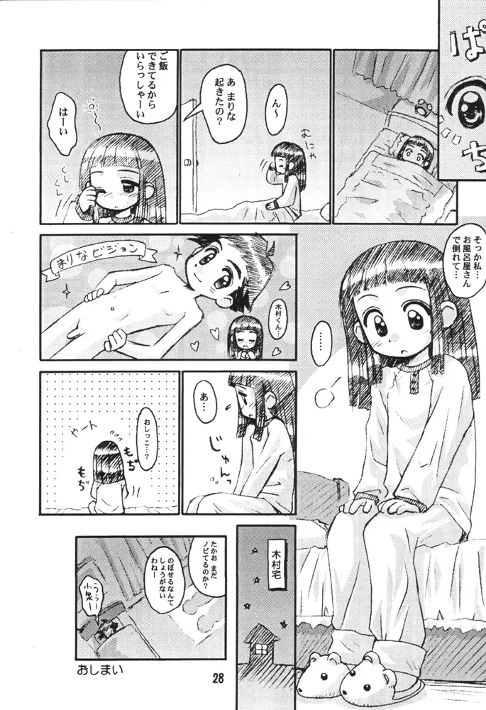 Page 27