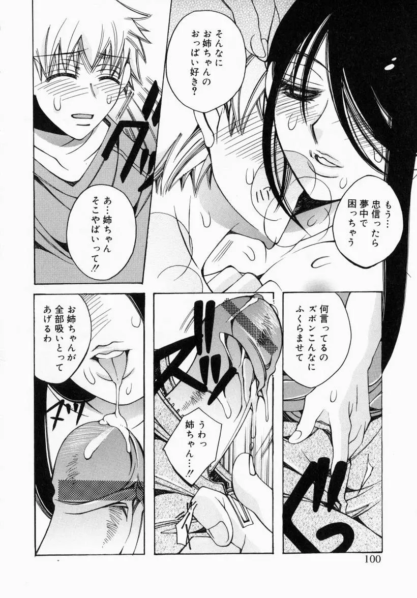 Page 100