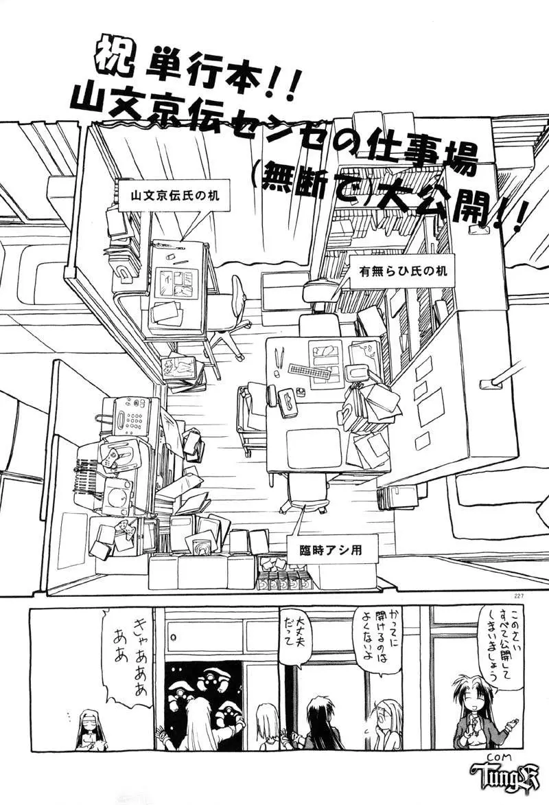 Page 233