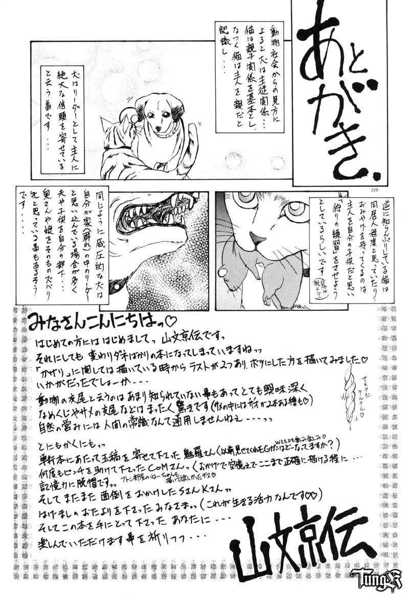 Page 235