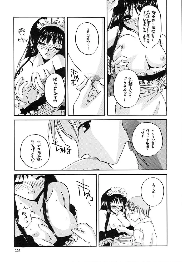 Page 113