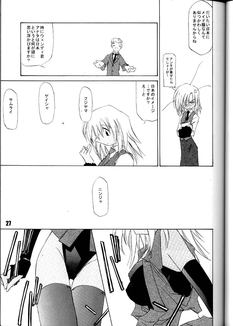 Page 26