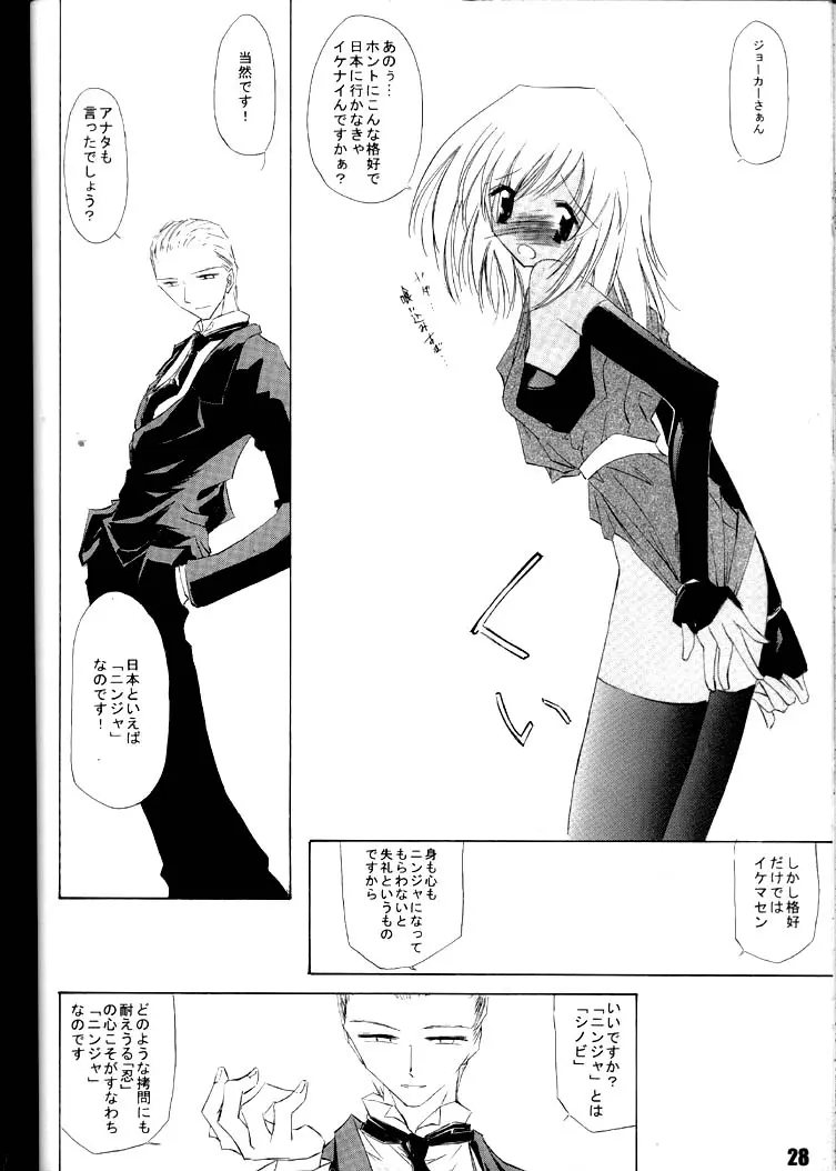 Page 27