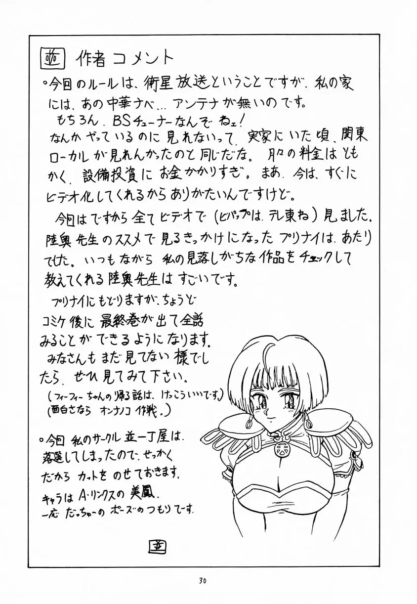 Page 29
