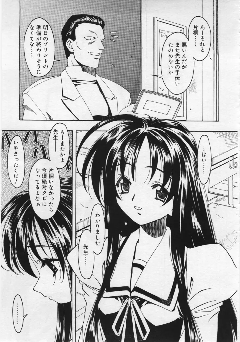 Page 291