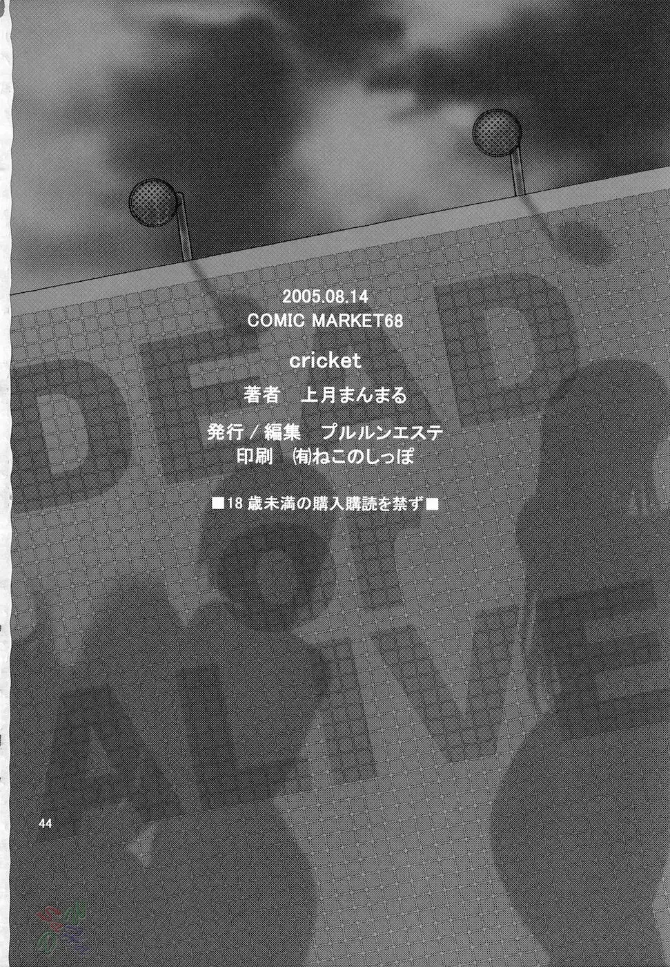 Page 43