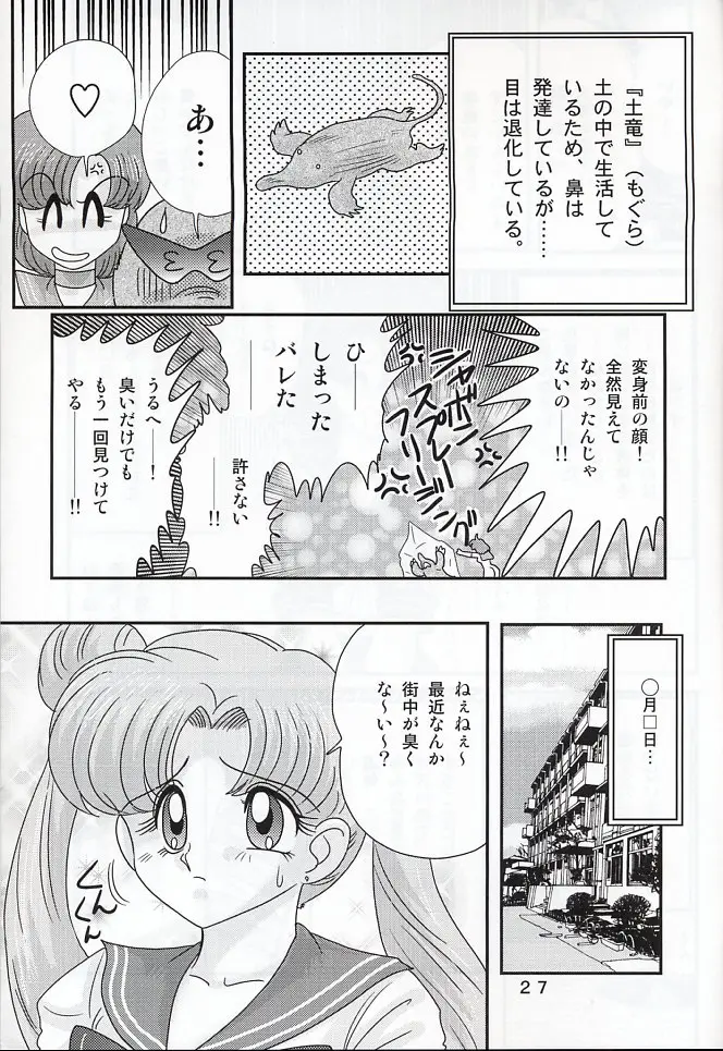 Page 27