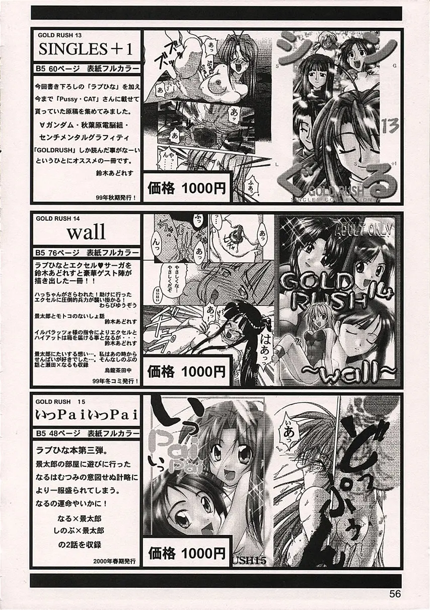 Page 55
