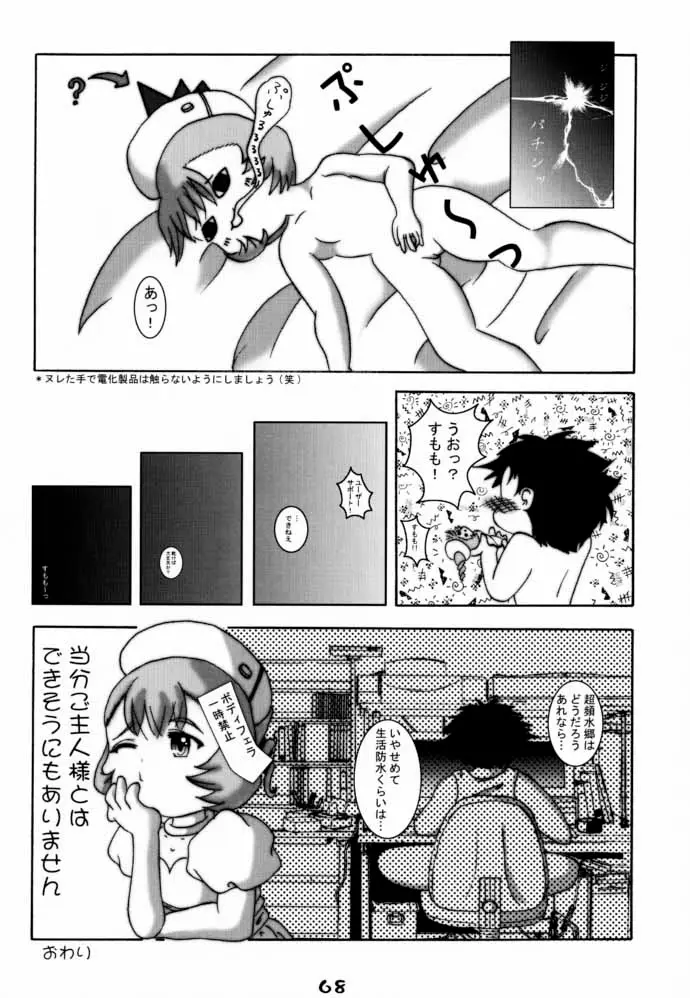 Page 67