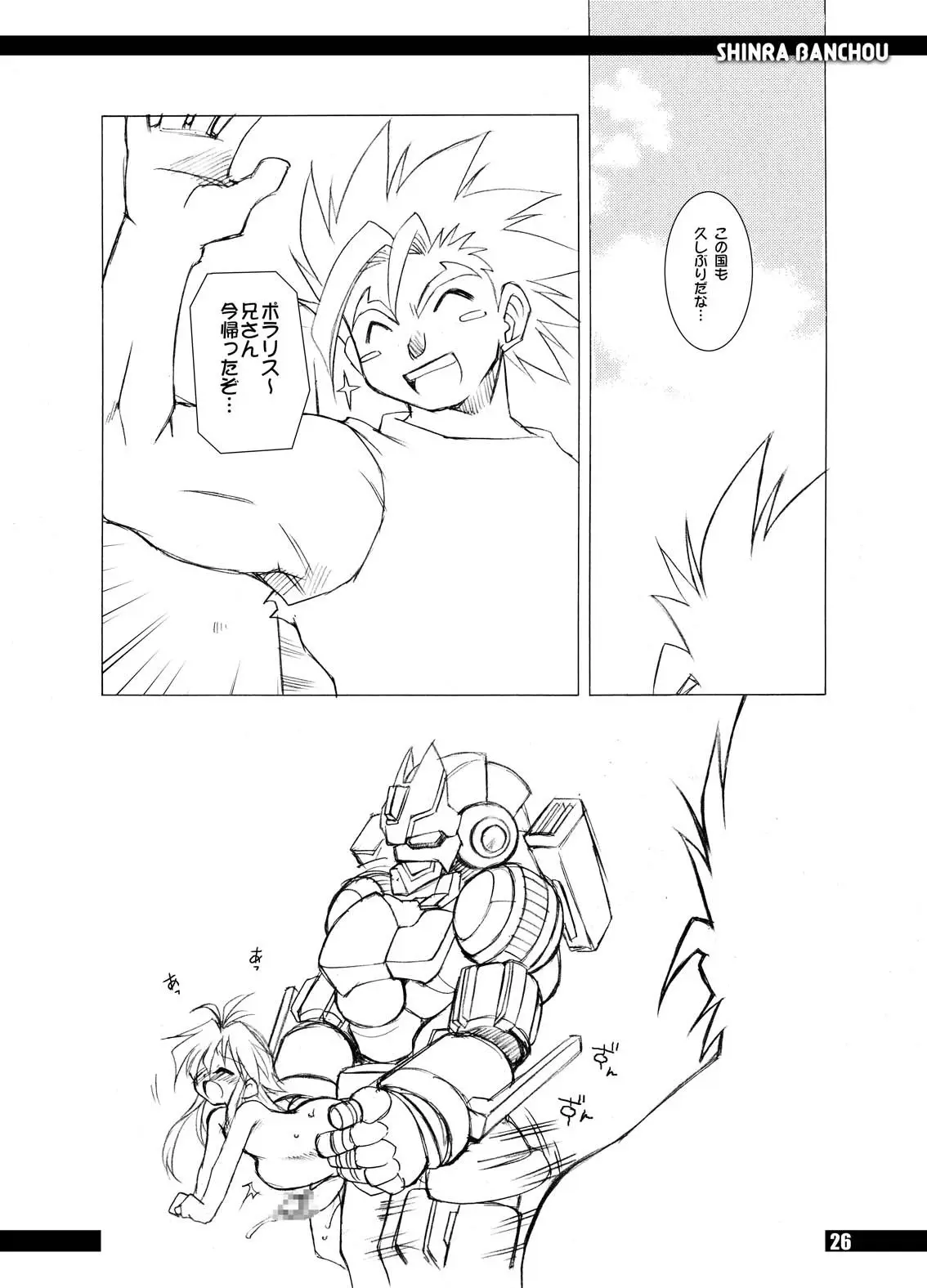 Page 25