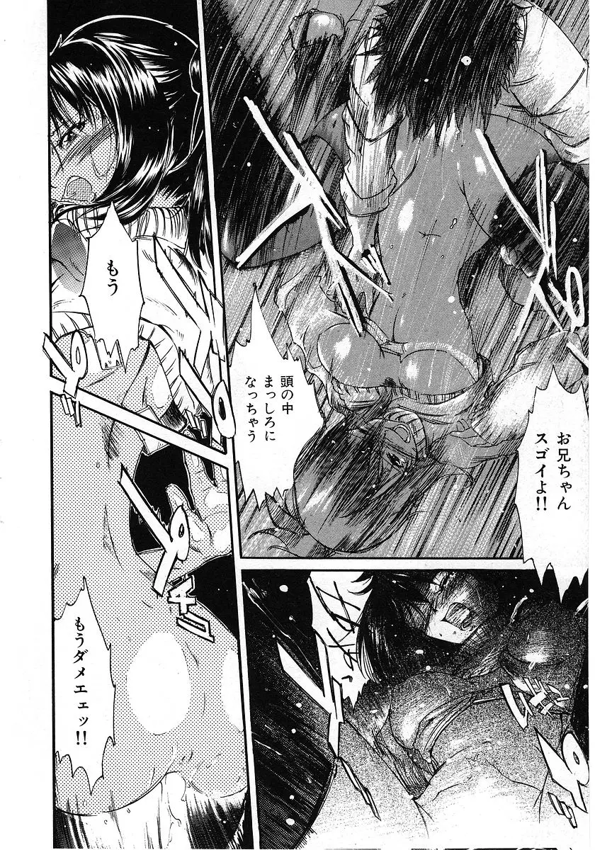 Page 204