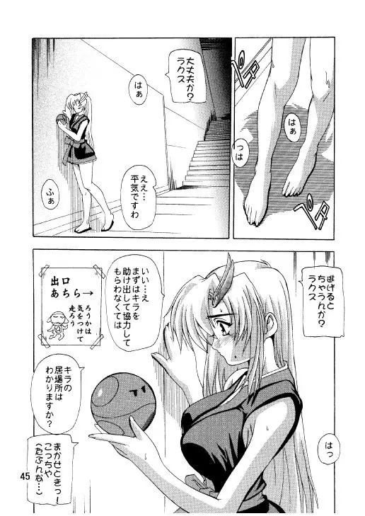Page 42