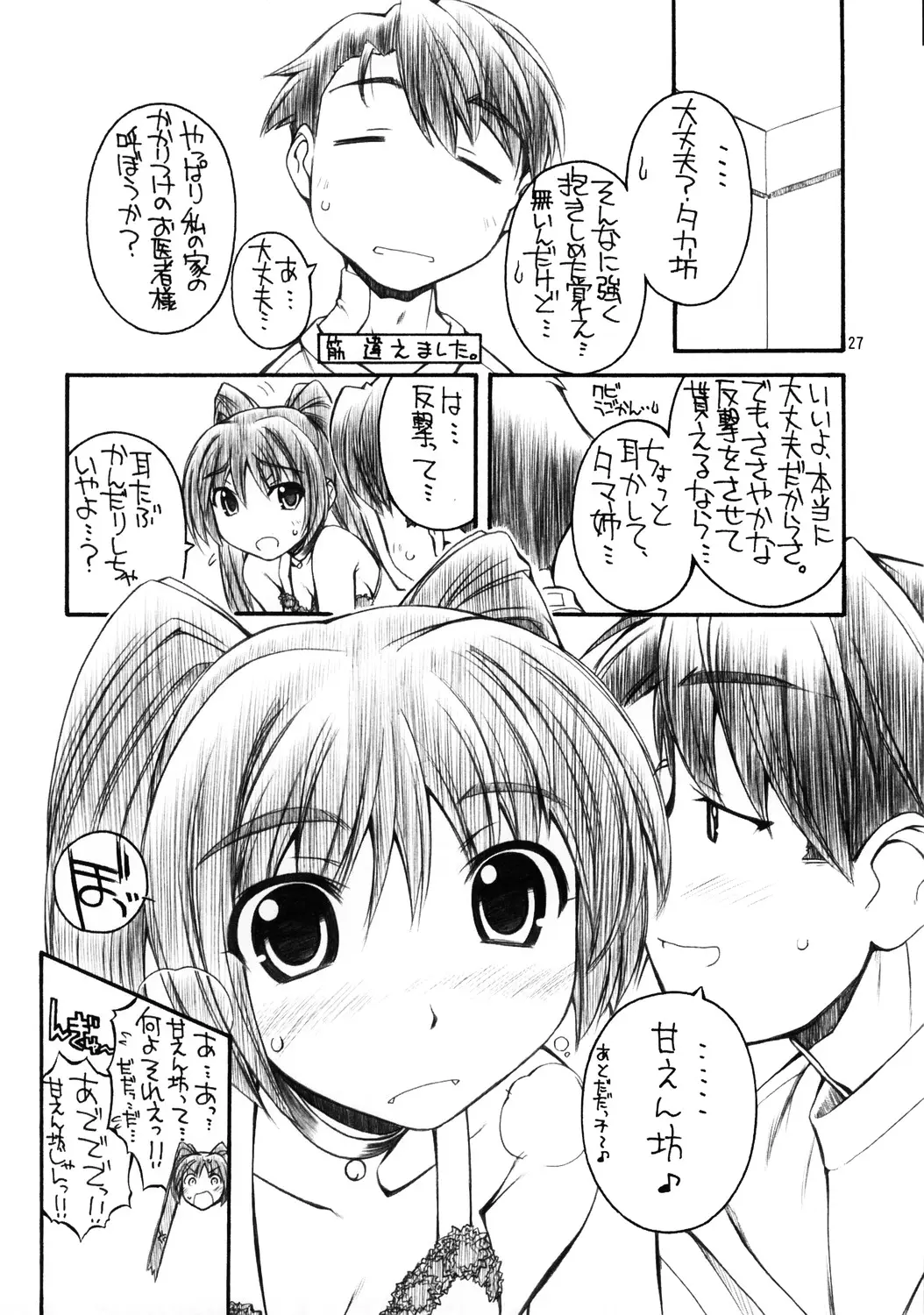 Page 27