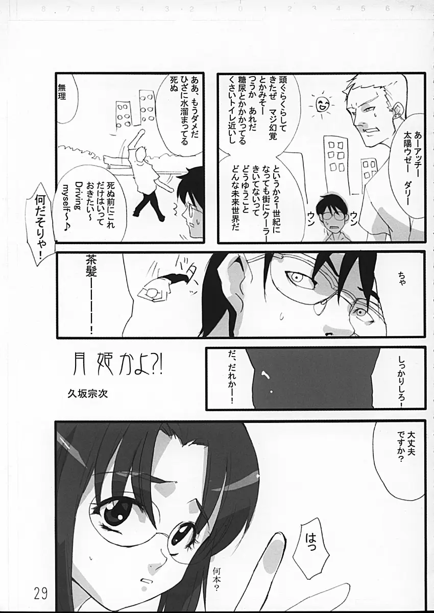 Page 29