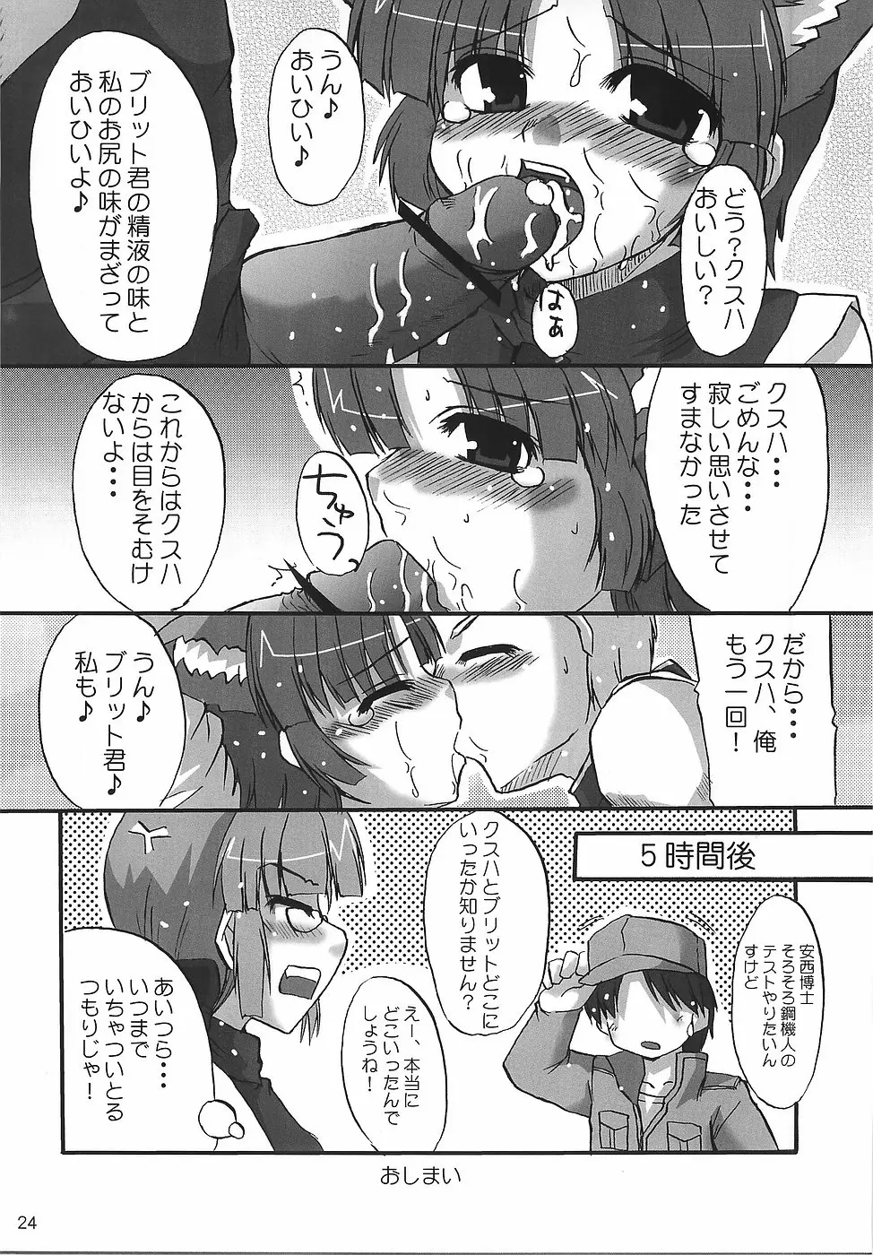 Page 25