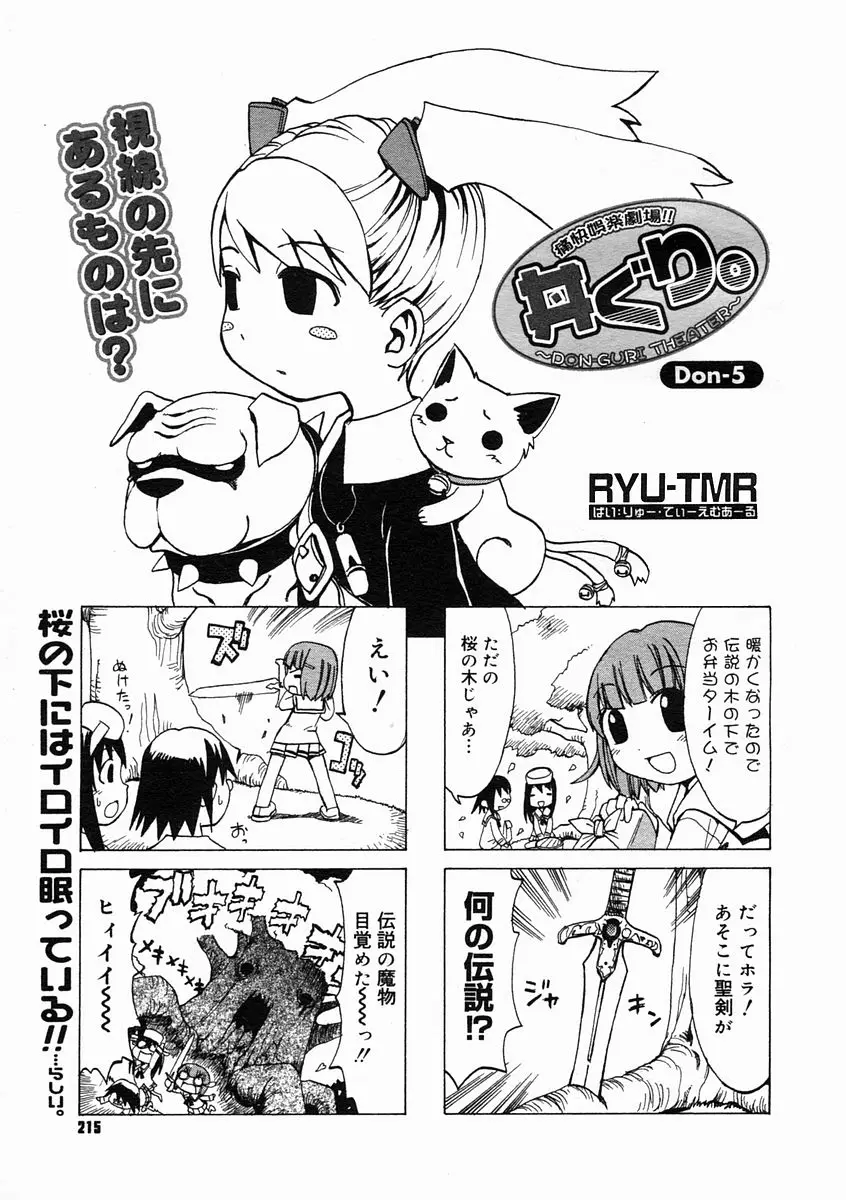 Page 213