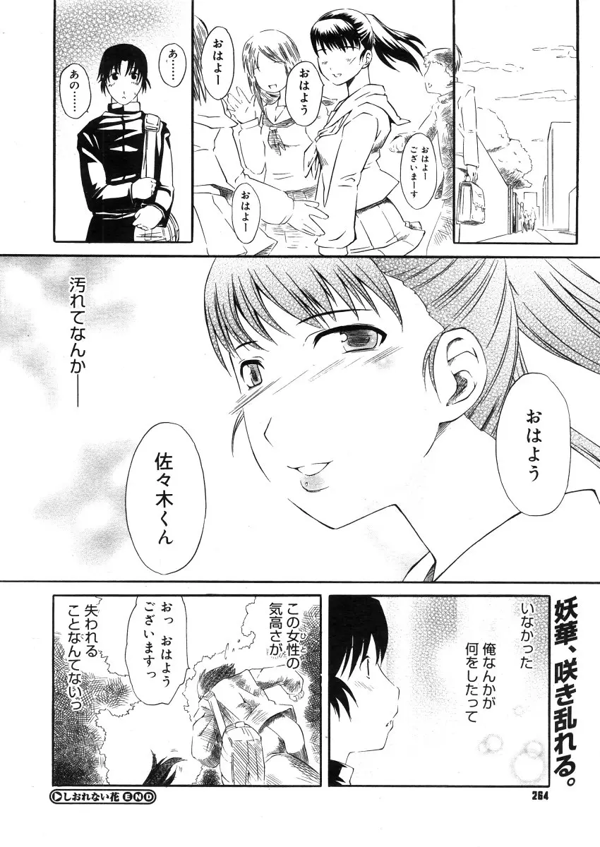 Page 262