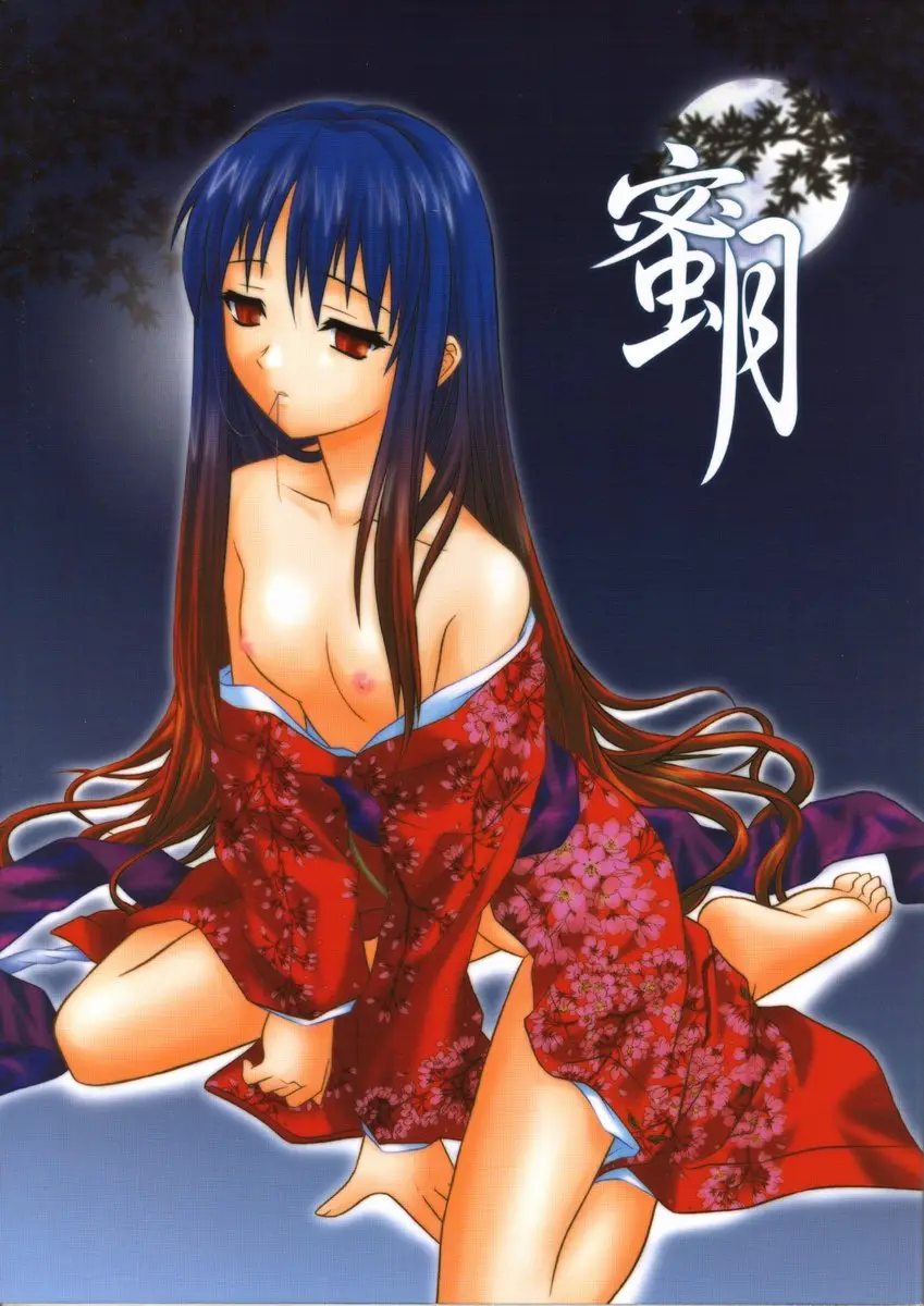 (C62) [.30-06 (Tsutsumi Akari)] Mitsugetsu Vol. 2 (Tsukihime)