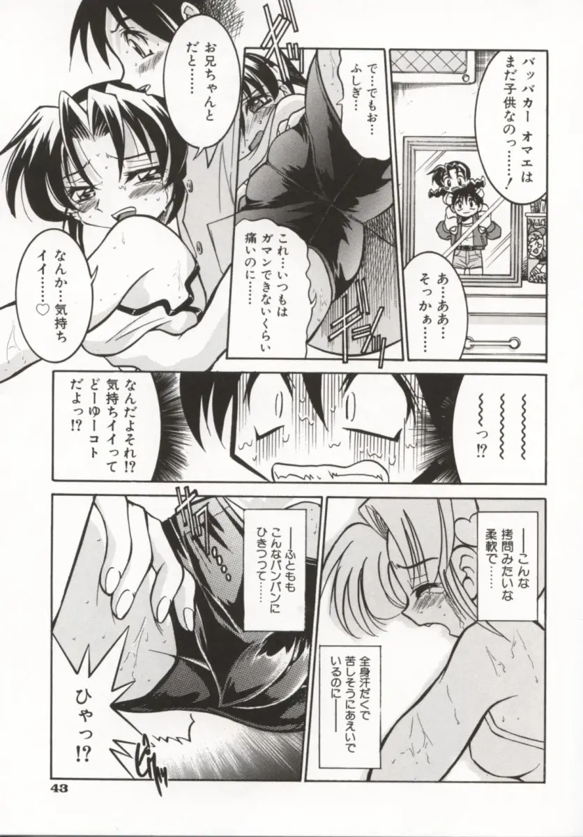 Page 48