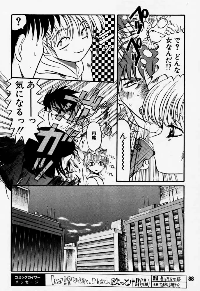 Page 87