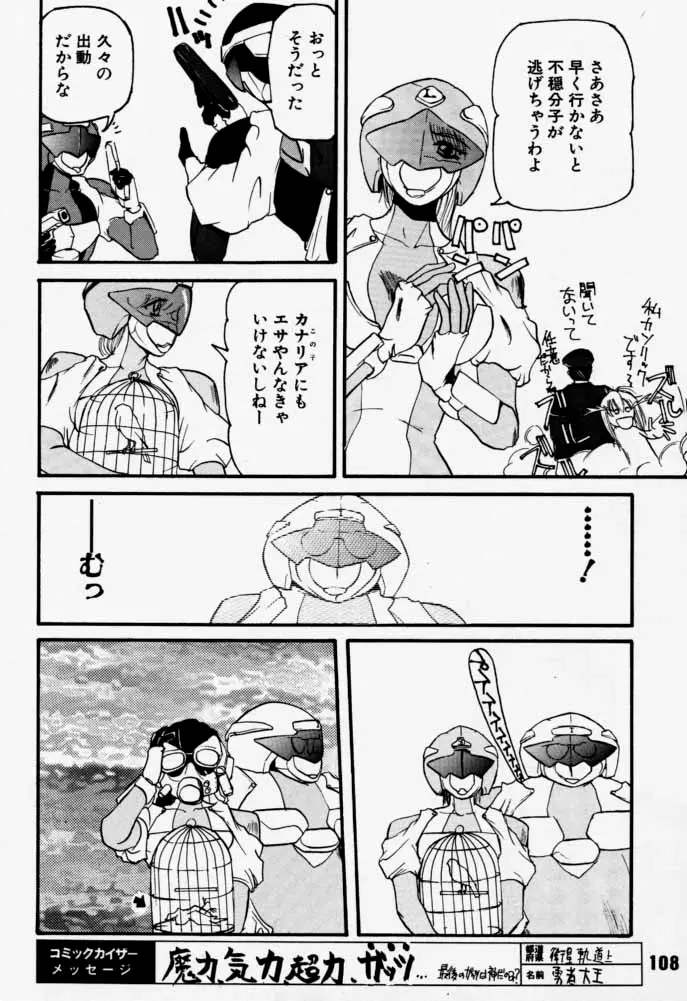 Page 107