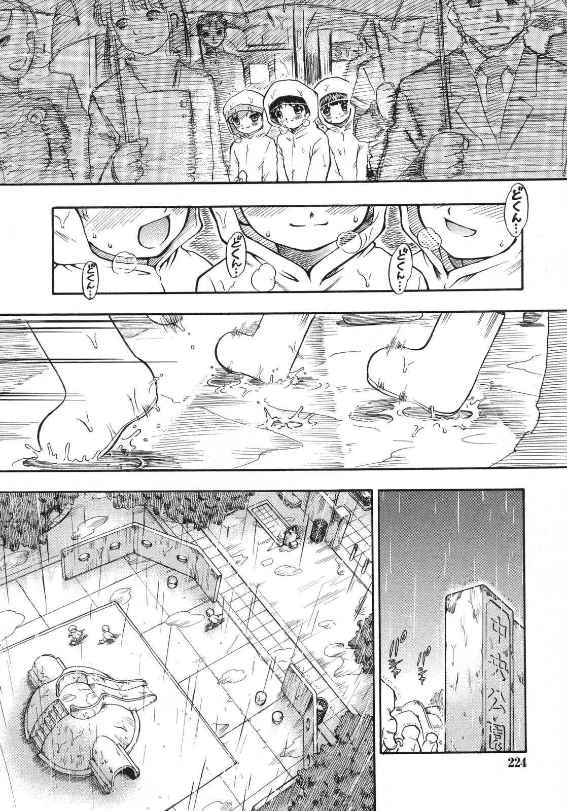 Page 225
