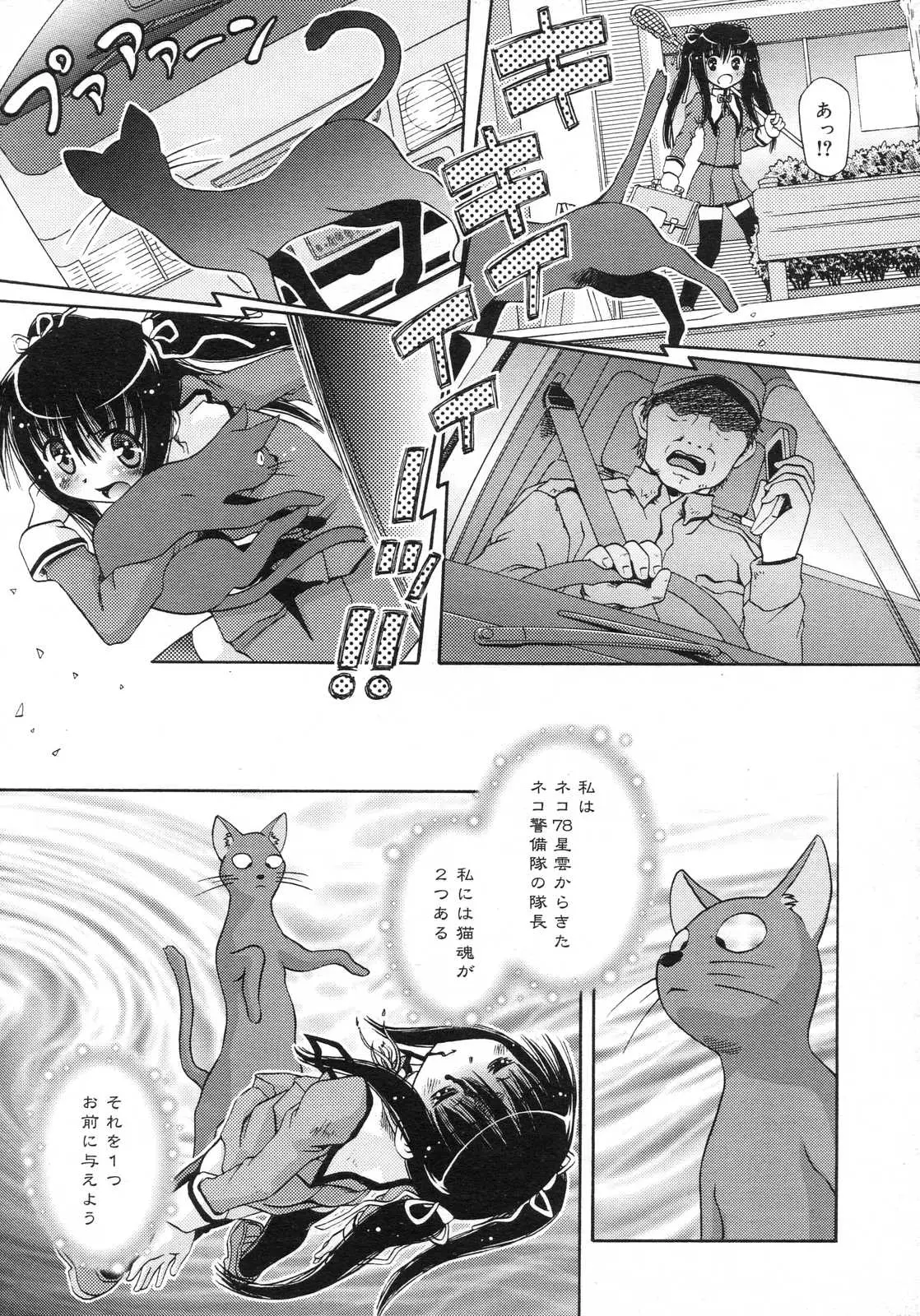 Page 258
