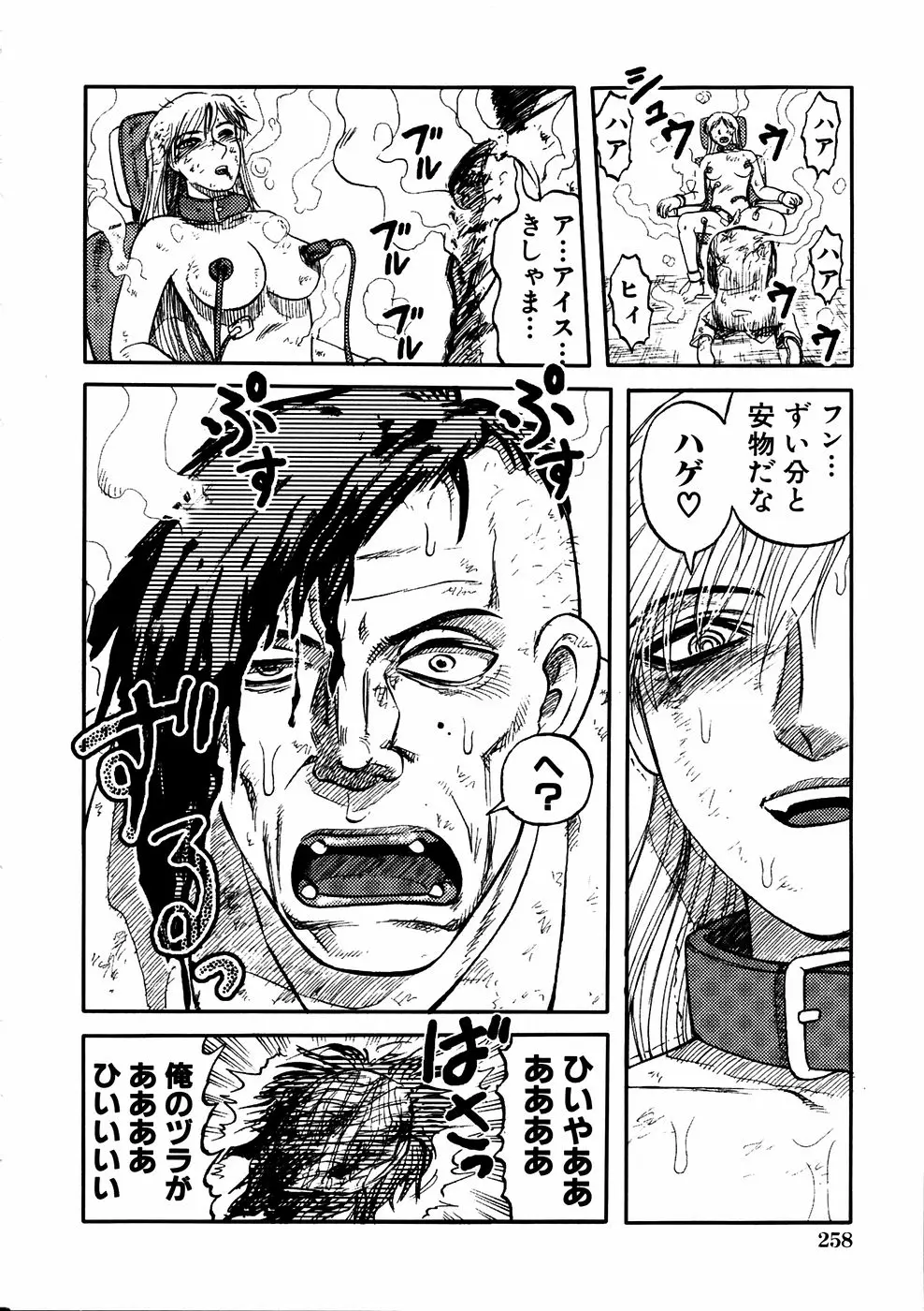 Page 251