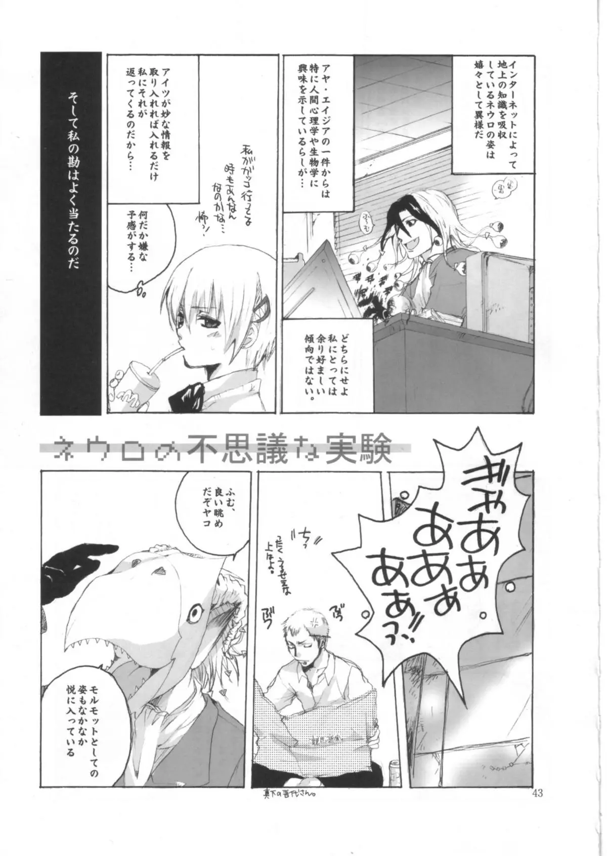 Page 42