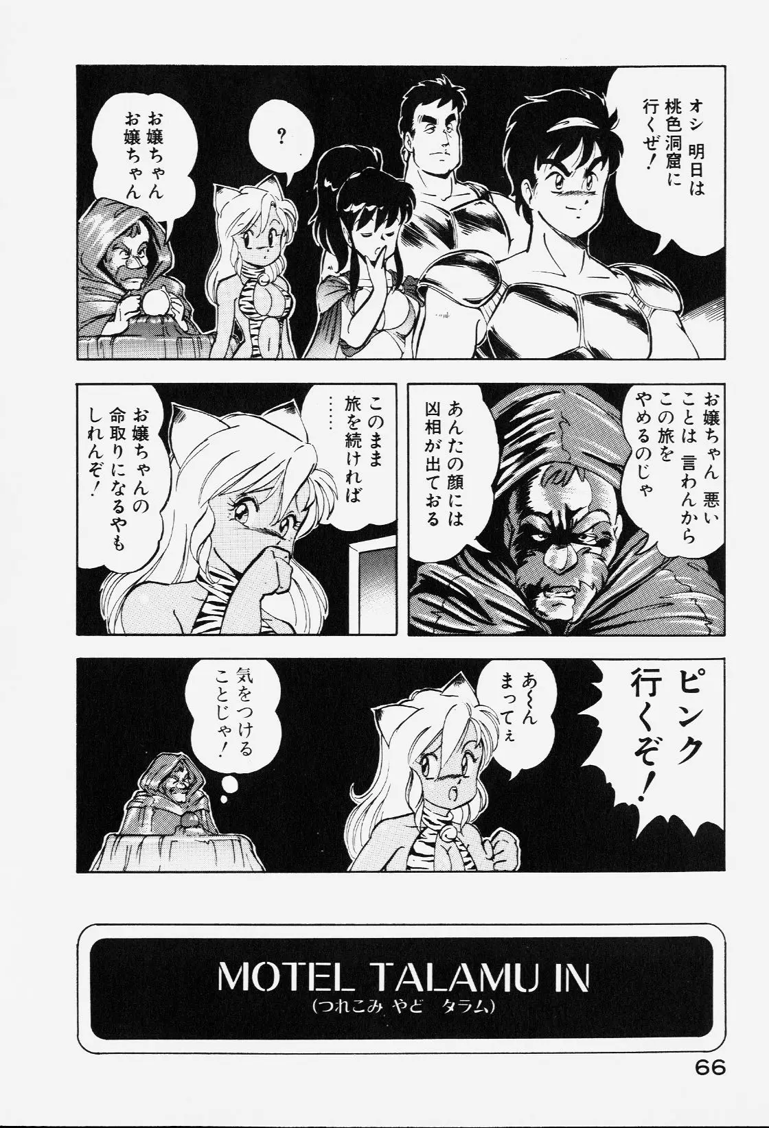 Page 65