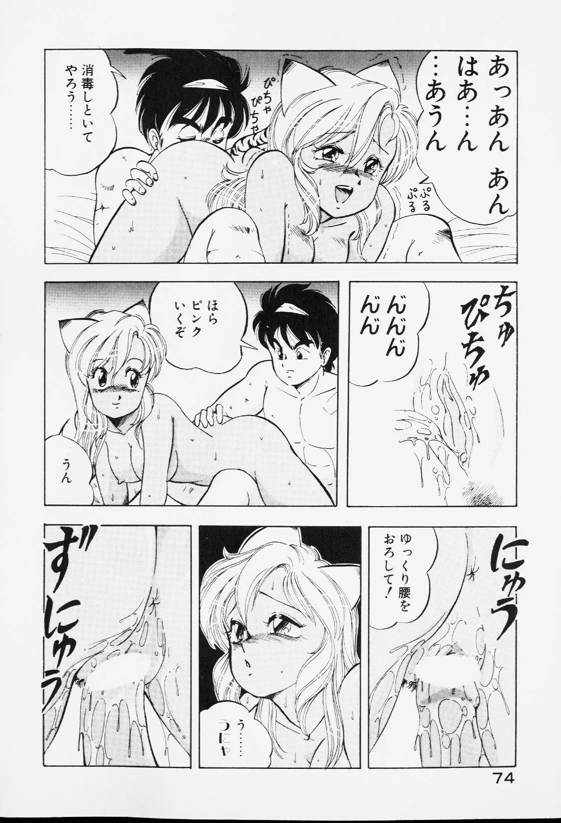 Page 73