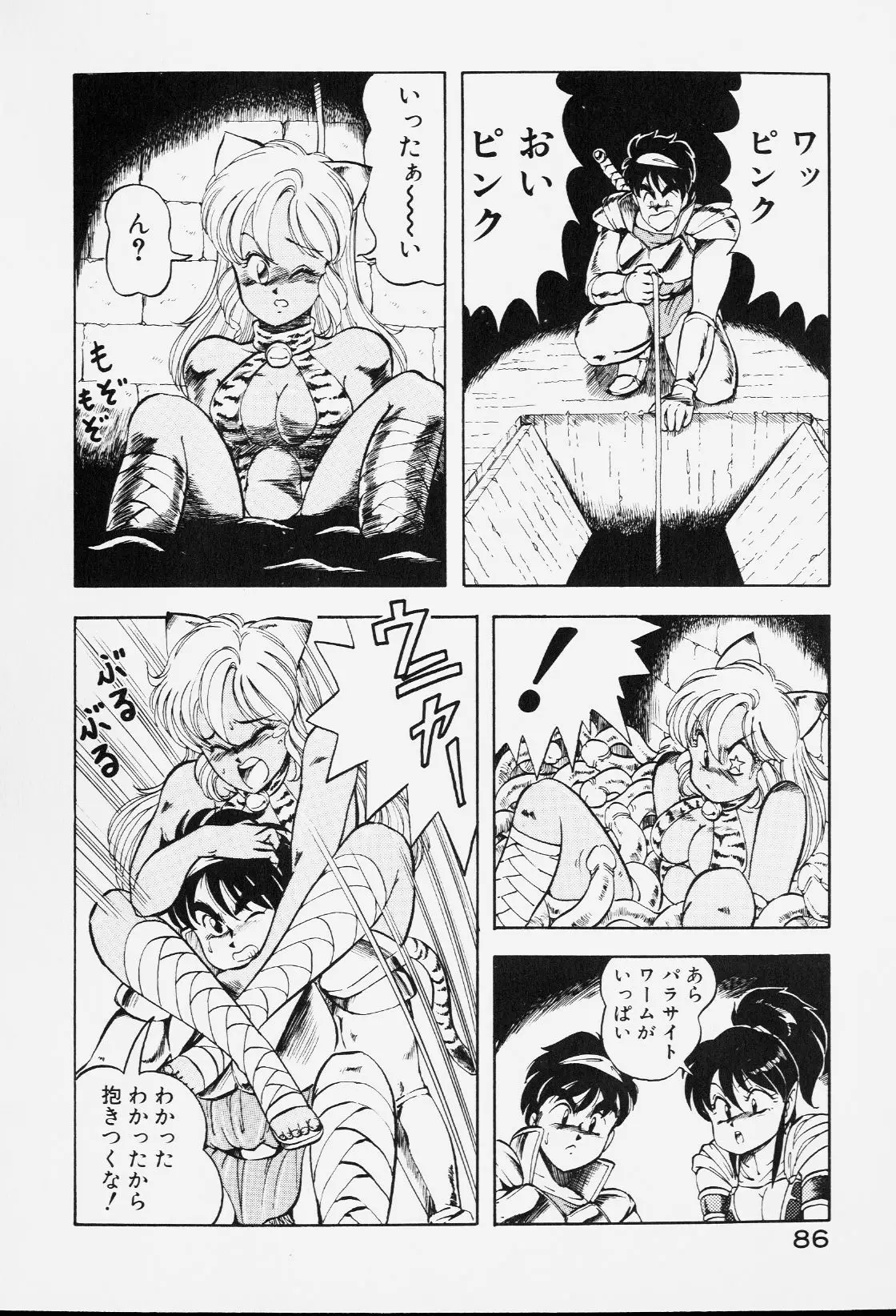 Page 85