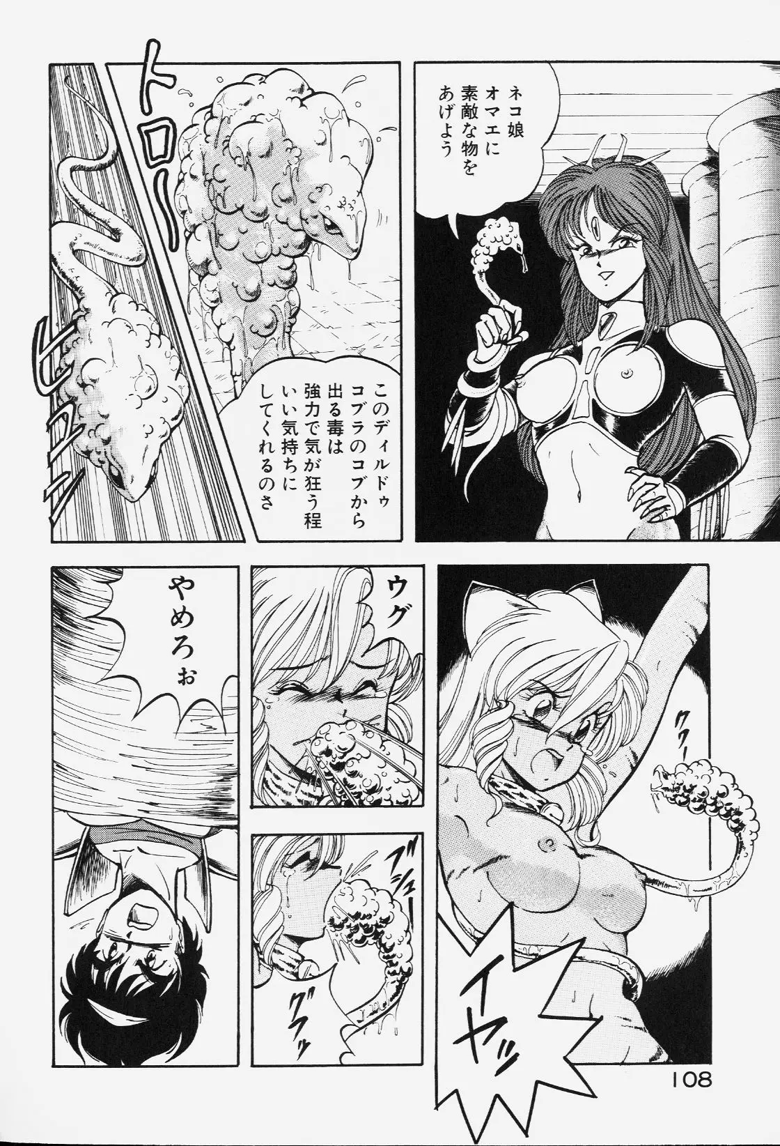 Page 107