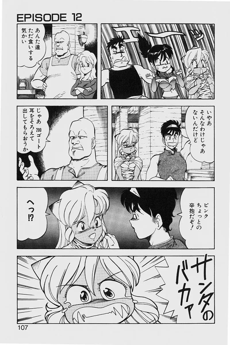 Page 107