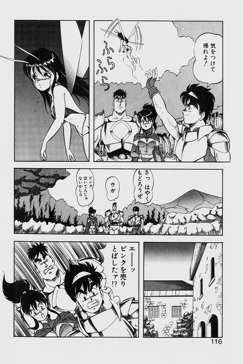 Page 116