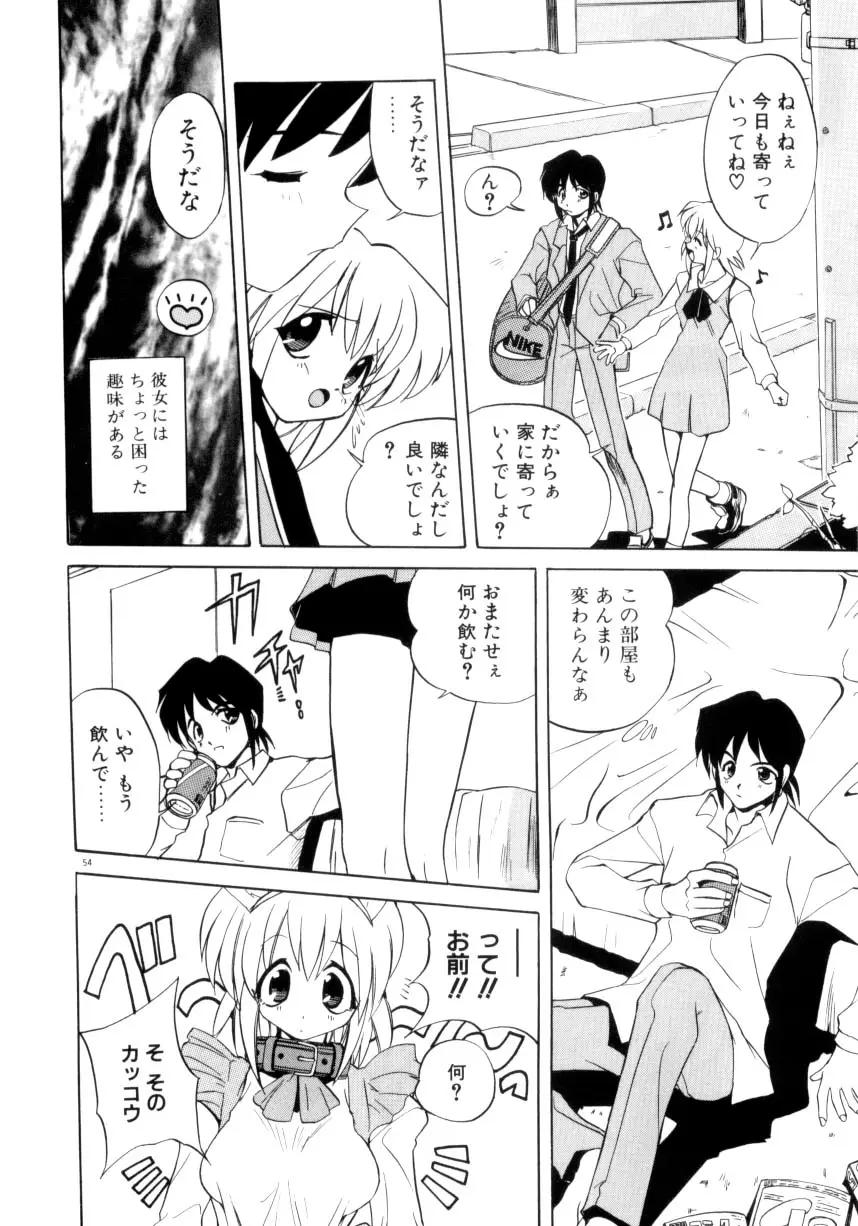 Page 55