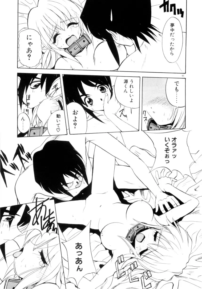 Page 66