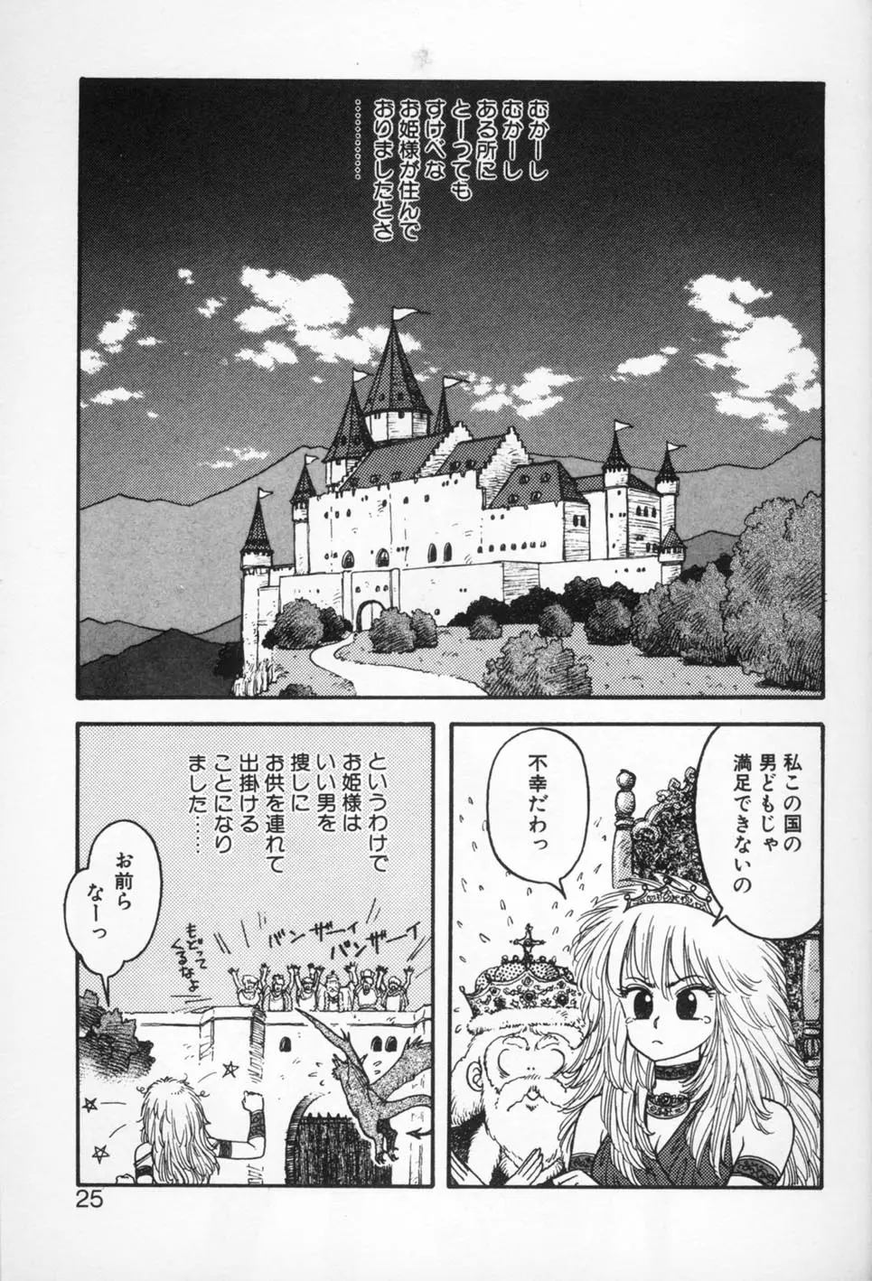 Page 25