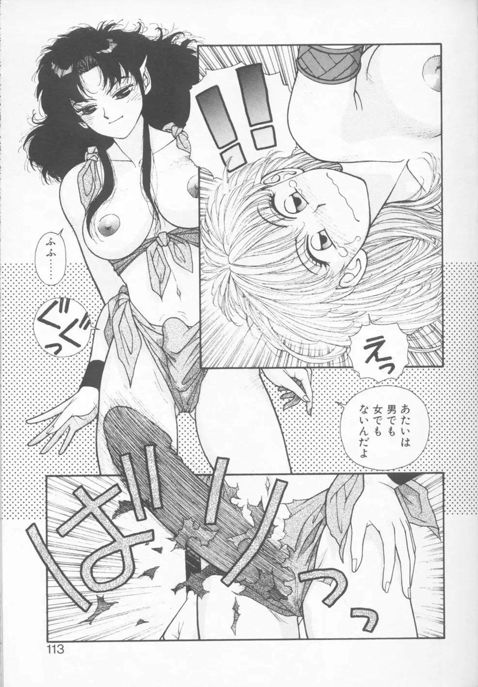 Page 113