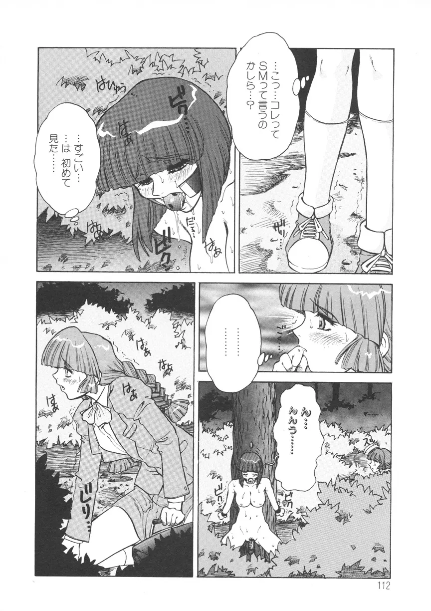 Page 113