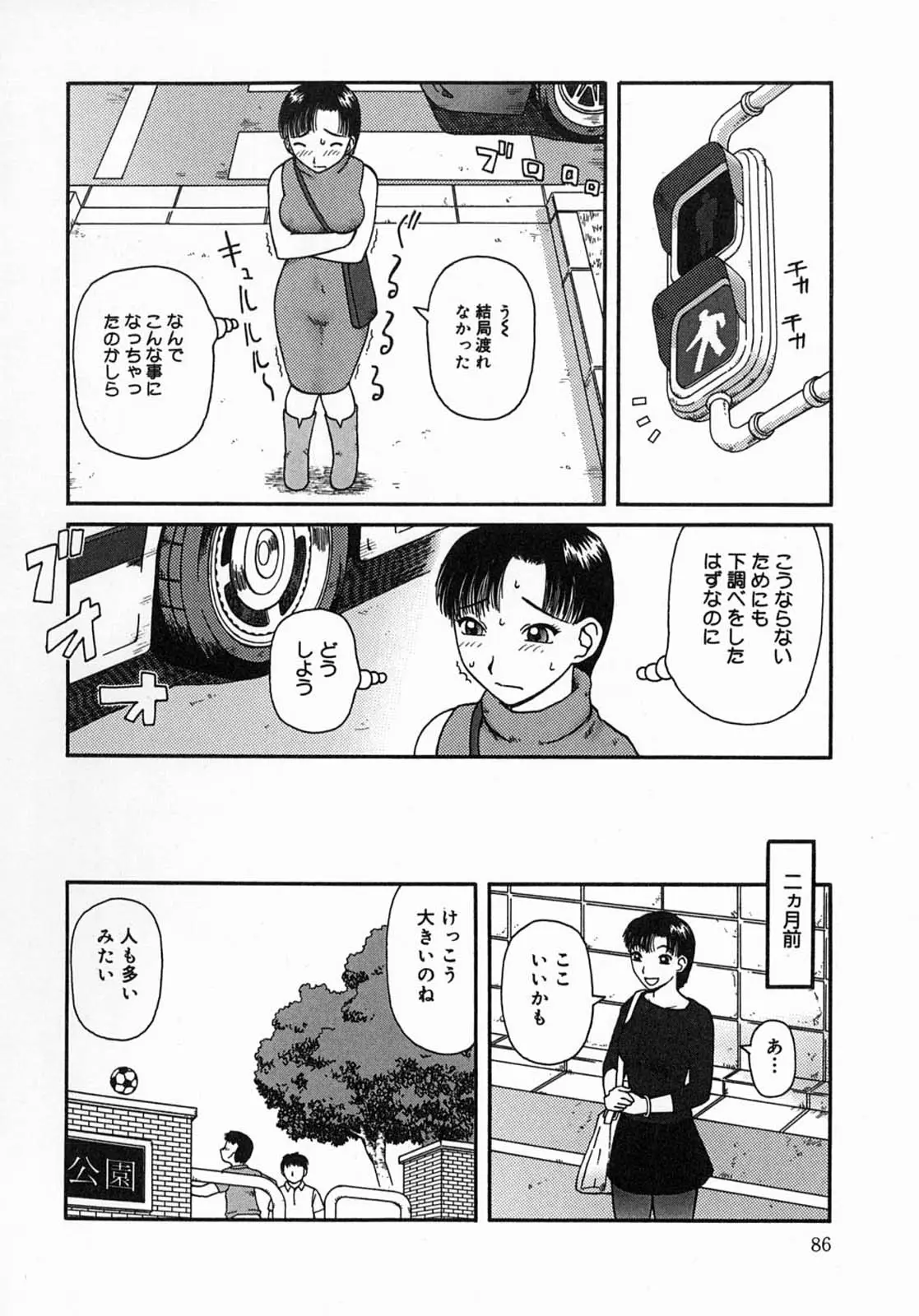 Page 86
