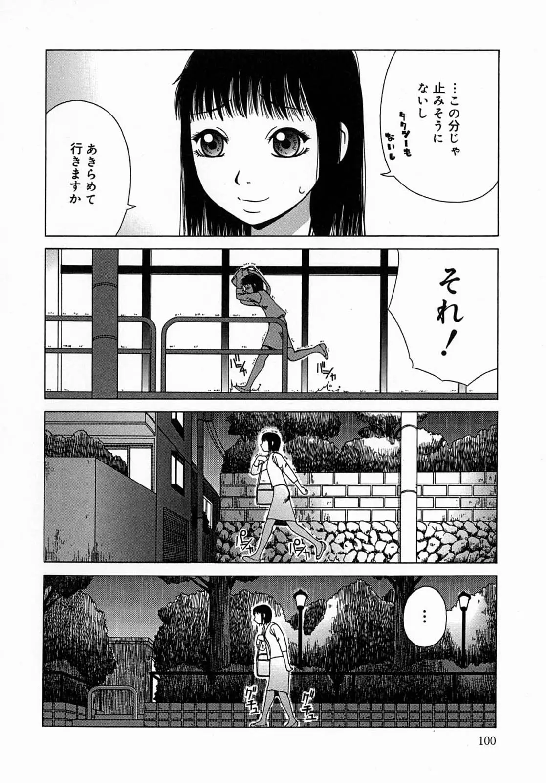 Page 100
