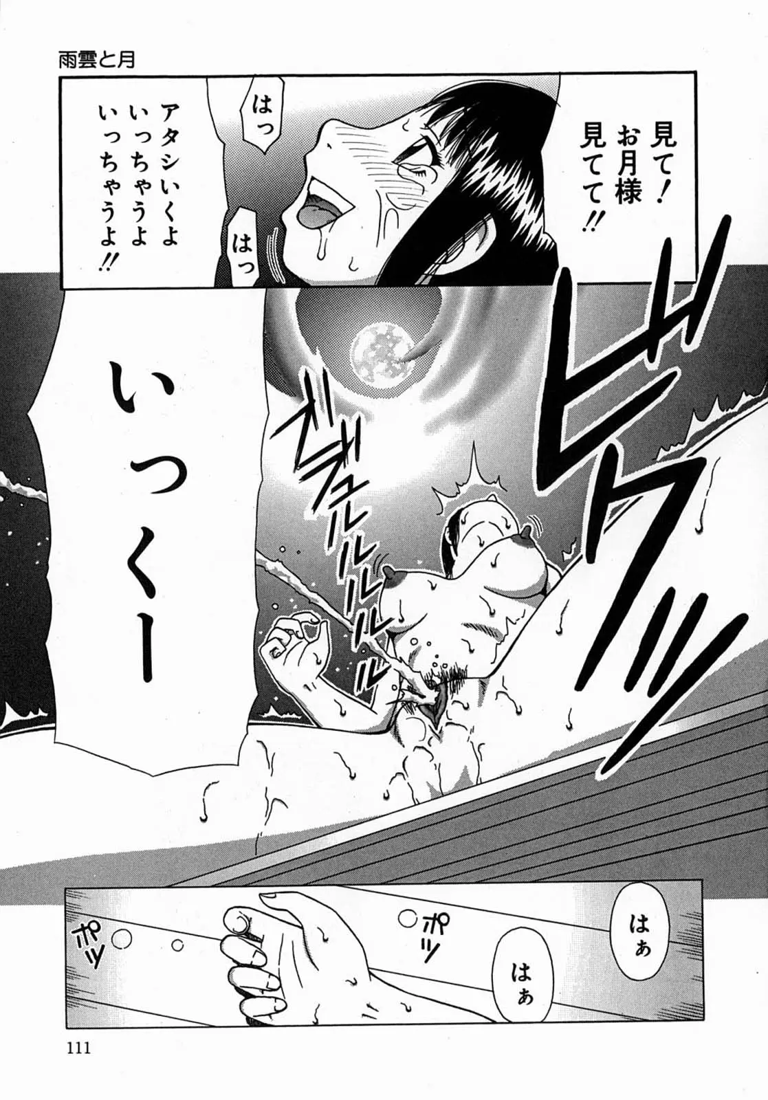 Page 111