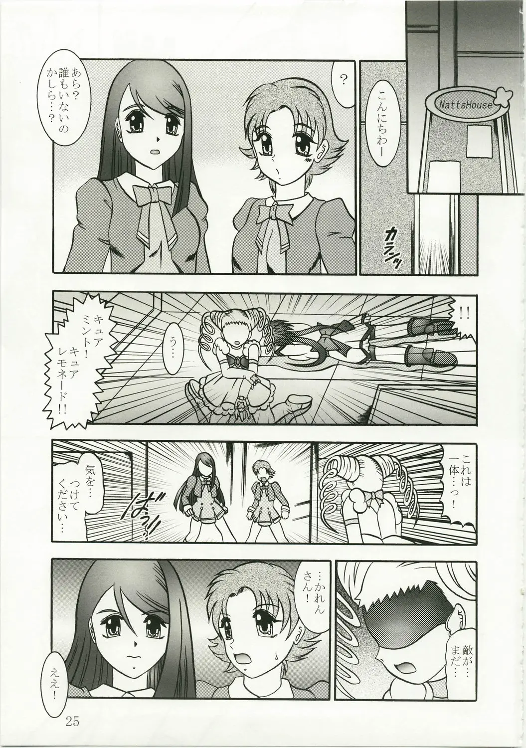 Page 25