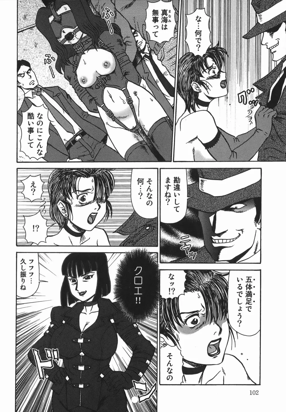 Page 102
