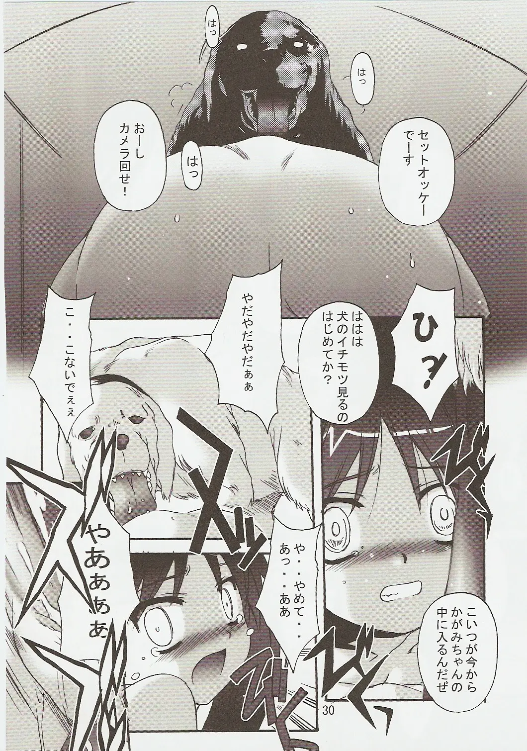 Page 29